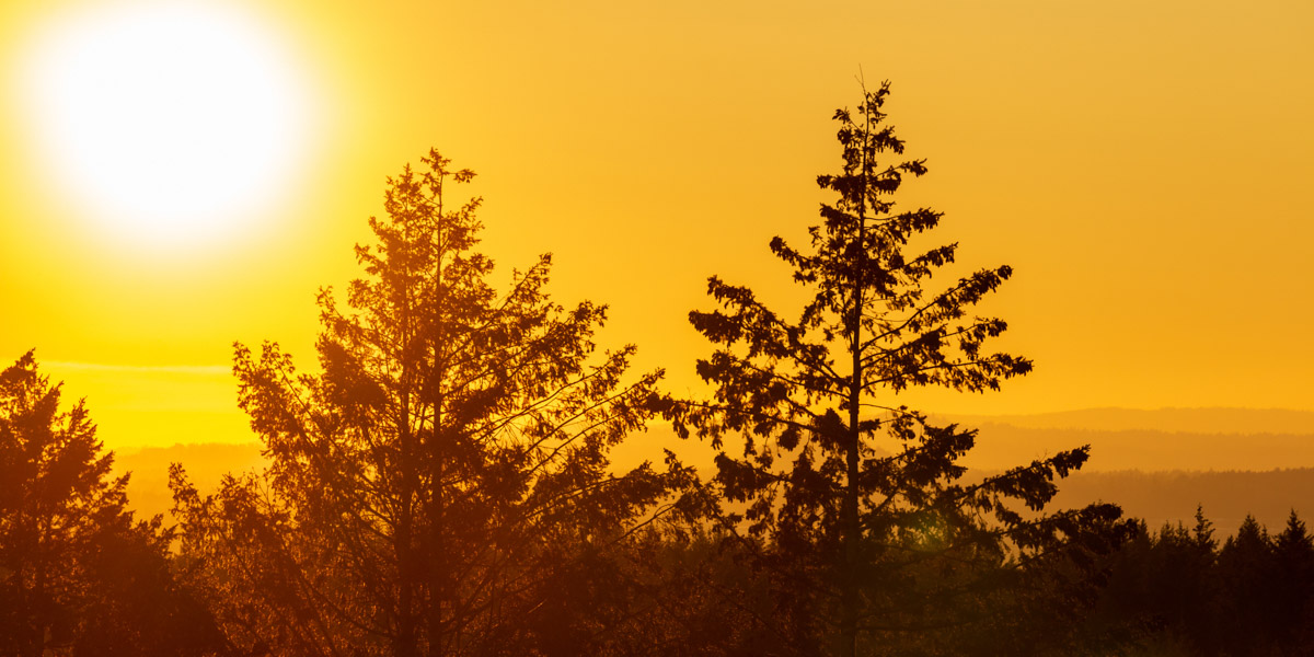 RV Sites & Mobile Homes